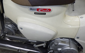 HONDA C50 SUPER CUB 2024 AA09