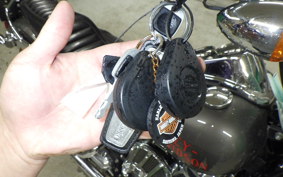 HARLEY FXLR1750 2019