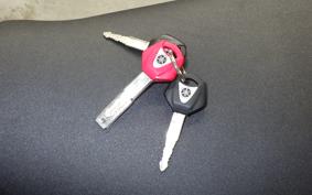 YAMAHA XSR900 GP 2025 RN96J