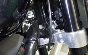 HARLEY FLSB 1750 2023