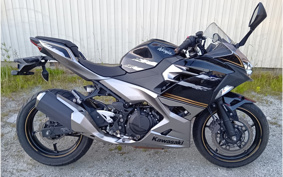 KAWASAKI NINJA 250 EX250P