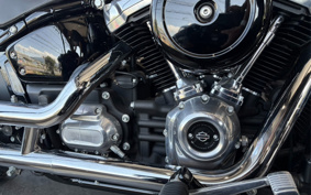 HARLEY FXST1340-1450 2020 BVJ