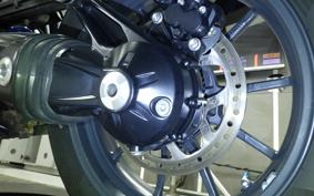 TRIUMPH TIGER EXPLORER 2013
