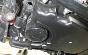 TRIUMPH SPEED TWIN 900 2023