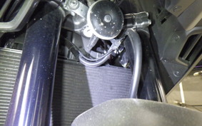 HONDA NT1100 2024 SC84