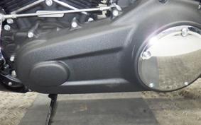 HARLEY FXFB1750 2020