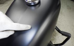 HARLEY XL883N 2021