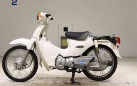 HONDA C110 SUPER CUB 2009 JA07