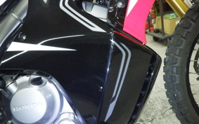 HONDA CRF250 RALLY LD