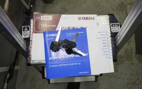 YAMAHA CYGNUSｸﾞﾘﾌｧｽ SEJ4J