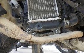 HONDA BENLY 50 AA05