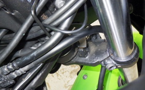 KAWASAKI NINJA 250 ABS 2022 EX250L