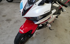 YAMAHA FZ-X RG73