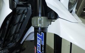 YAMAHA WR250X 2021 DG15J