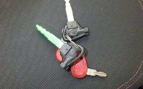 YAMAHA CYGNUS 125 XSR 2 SE44J