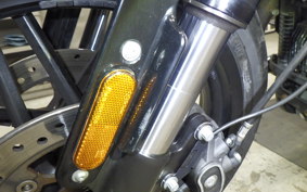 HARLEY XL1200CX 2020