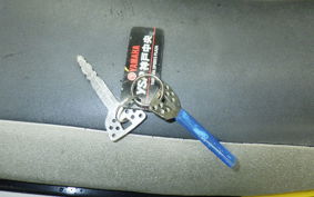 YAMAHA WR250R 2002 DG15J