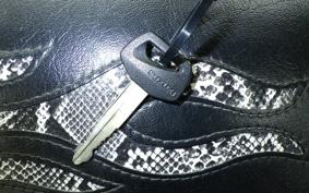 SUZUKI INTRUDER 400 Classic 2010 VK56A