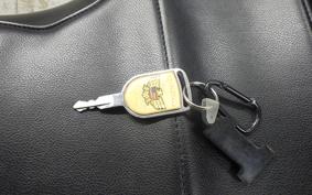 HONDA GL1500 GOLD WING TRIKE SE 1993 SC22