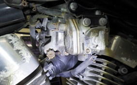 YAMAHA VIRAGO 250 2003 3DM