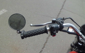 KAWASAKI ESTRELLA RS BJ250A