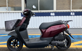 HONDA  TACT  BASIC  AF79