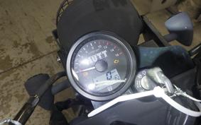 OTHER MUTT250 2024
