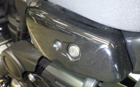 HARLEY RH975S 2024