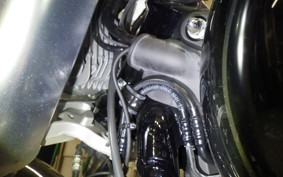 HARLEY FLBS 1870 2020