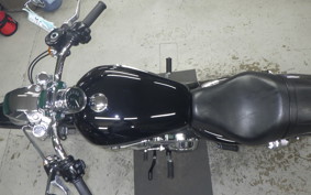 OTHER +HD. XL1200C-I 2011