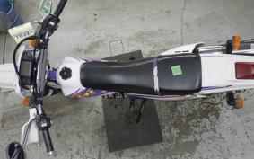 YAMAHA TT250R 2010 4GY