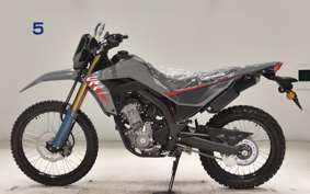 HONDA CRF250L 2009 MD47