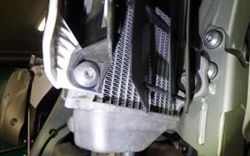 YAMAHA WR250R DG15J