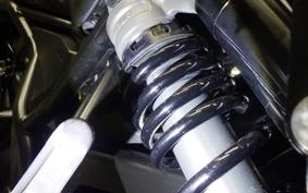 HONDA REBEL 1100 DCT 2024