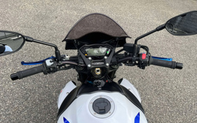 SUZUKI GSX-S 1000 2019 GT79B