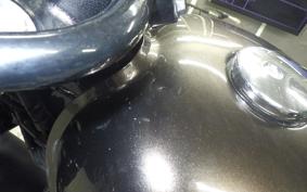 KAWASAKI W800 CAFE 2020 EJ800B