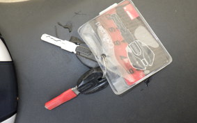 DUCATI MONSTER 696 + 2010