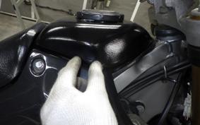 KAWASAKI KLX250 LX250E