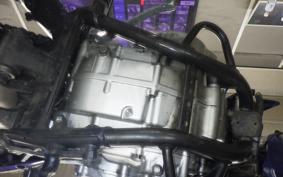 KAWASAKI KLX250D TRACKER X