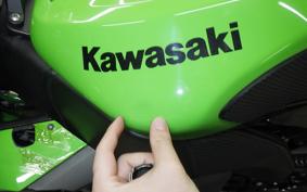 KAWASAKI ZX 10 NINJA R 2010