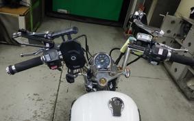 YAMAHA VIRAGO 250 2014 3DM