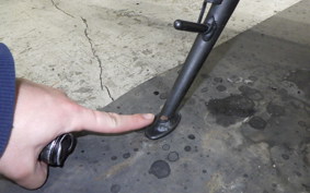 KAWASAKI Z900RS SE 2024