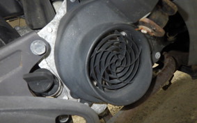 HONDA DIO 110 JF31