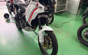 DUCATI DESERT X 2024 1X00