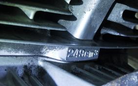 SUZUKI GSX-250E