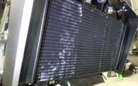KAWASAKI ELIMINATOR400-3 2025 EL400A