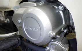 HONDA C110 SUPER CUB 2022 JA59