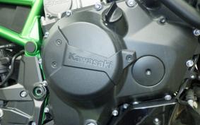 KAWASAKI ZH2 2020 ZRT00K
