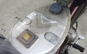 HONDA LITTLE CUB 2022 C50