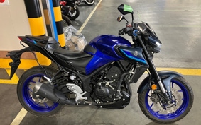 YAMAHA MT-25 RG74J
